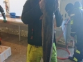2-30
