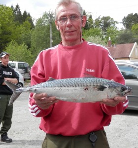 storstfisk-grensenappet2013